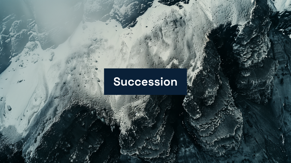 Patrimoine Articles de blog Succession d'entreprise
